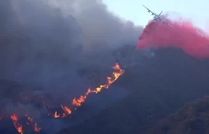 Pacific Palisades wildfire plane